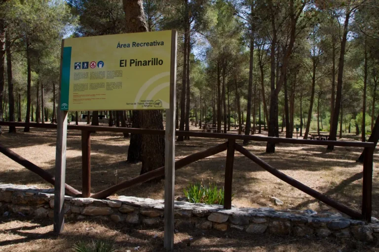 Área Recreativa El Pinarillo